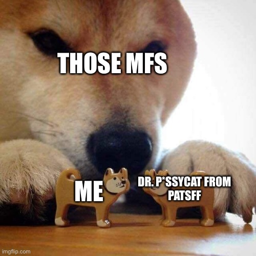 I'M ENEMIES WITH DR P*SSYCAT YOU MFS | THOSE MFS; ME; DR. P*SSYCAT FROM
PATSFF | image tagged in dog now kiss,doge,patsff,dr p ssycat | made w/ Imgflip meme maker