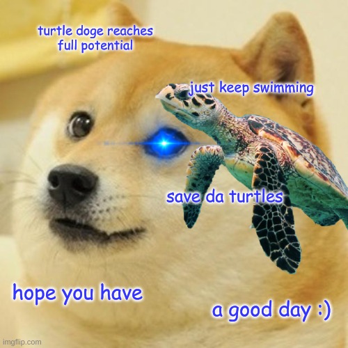 TURTLE DOGE REACHES FULL POTENTIAL | turtle doge reaches
full potential; just keep swimming; save da turtles; hope you have; a good day :) | image tagged in doge,funny memes,i like turtles | made w/ Imgflip meme maker