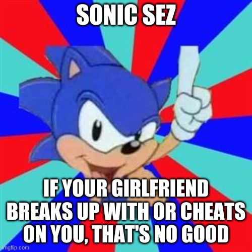 Sonic Sez meme | SONIC SEZ; IF YOUR GIRLFRIEND BREAKS UP WITH OR CHEATS ON YOU, THAT'S NO GOOD | image tagged in sonic sez | made w/ Imgflip meme maker
