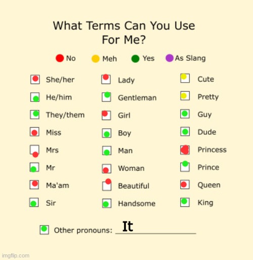 Pronouns Sheet | It | image tagged in pronouns sheet | made w/ Imgflip meme maker