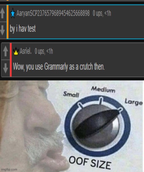 OOF | image tagged in oof size large | made w/ Imgflip meme maker