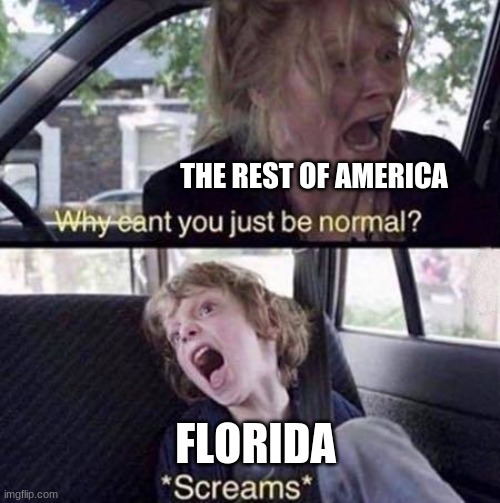 Florida is weird | THE REST OF AMERICA; FLORIDA | image tagged in why can't you just be normal,florida,america,memes | made w/ Imgflip meme maker