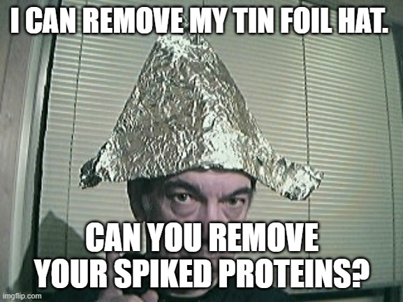 spiked proteins | I CAN REMOVE MY TIN FOIL HAT. CAN YOU REMOVE YOUR SPIKED PROTEINS? | image tagged in tinfoil hat | made w/ Imgflip meme maker