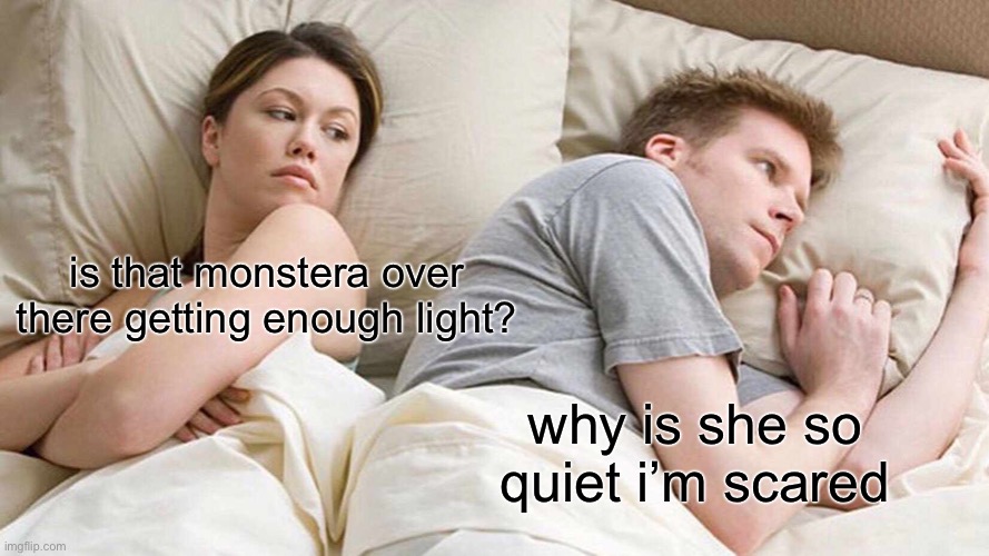 I Bet He's Thinking About Other Women | is that monstera over there getting enough light? why is she so quiet i’m scared | image tagged in memes | made w/ Imgflip meme maker