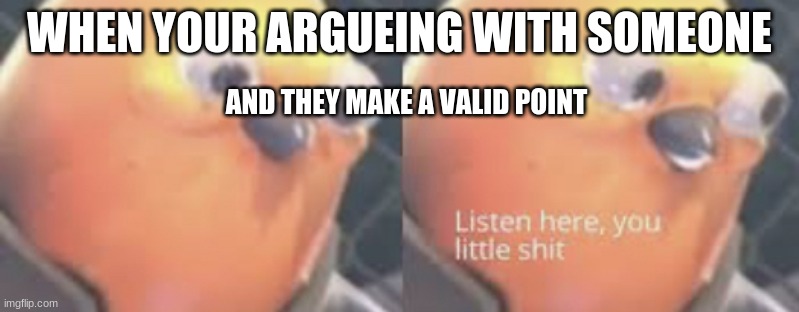 Listen here you little shit bird | WHEN YOUR ARGUEING WITH SOMEONE; AND THEY MAKE A VALID POINT | image tagged in listen here you little shit bird | made w/ Imgflip meme maker