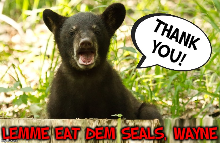 THANK
YOU! LEMME EAT DEM SEALS, WAYNE | made w/ Imgflip meme maker