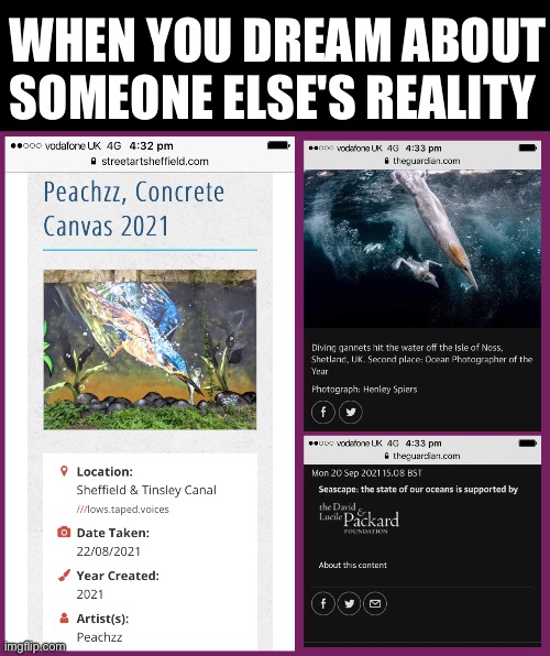 Must be tough | WHEN YOU DREAM ABOUT SOMEONE ELSE'S REALITY | image tagged in guardian,england,fishing,cia,code,bait | made w/ Imgflip meme maker