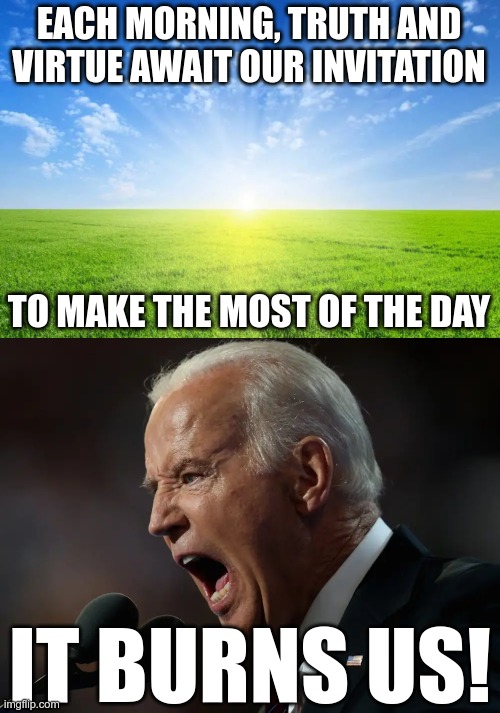 Would they know truth if they saw it? | EACH MORNING, TRUTH AND VIRTUE AWAIT OUR INVITATION; TO MAKE THE MOST OF THE DAY; IT BURNS US! | image tagged in biden,democrat party,liars | made w/ Imgflip meme maker