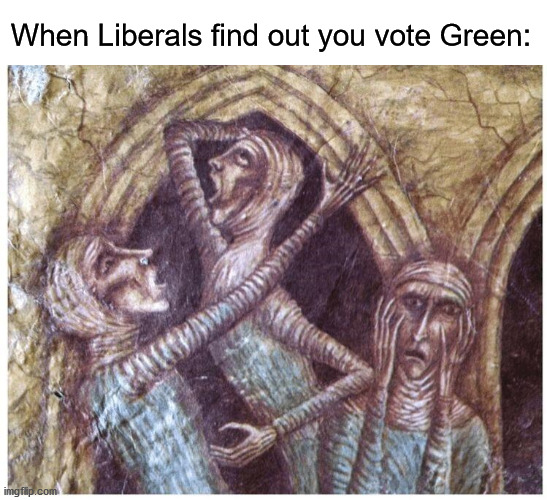 when you see somone x | When Liberals find out you vote Green: | image tagged in when you see somone x,liberals,green party | made w/ Imgflip meme maker