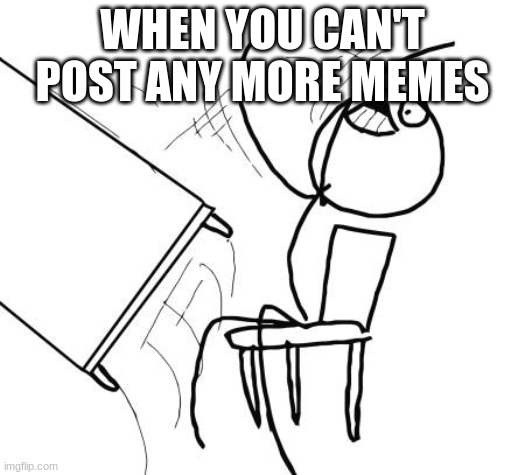 Table Flip Guy Meme | WHEN YOU CAN'T POST ANY MORE MEMES | image tagged in memes,table flip guy | made w/ Imgflip meme maker