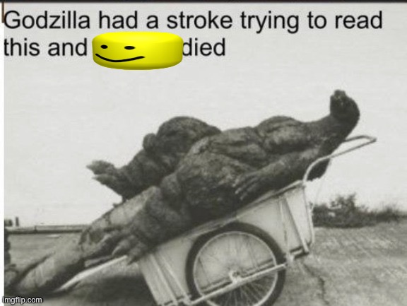 Godzilla had a stroke trying to read this and fricking died | image tagged in godzilla had a stroke trying to read this and fricking died | made w/ Imgflip meme maker