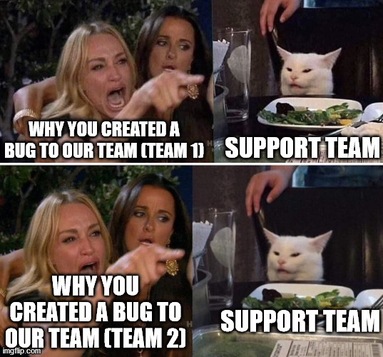 Creating a bug | WHY YOU CREATED A BUG TO OUR TEAM (TEAM 1); SUPPORT TEAM; WHY YOU CREATED A BUG TO OUR TEAM (TEAM 2); SUPPORT TEAM | image tagged in woman yelling at cat,memes | made w/ Imgflip meme maker