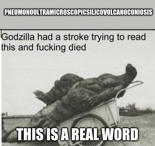 Godzilla | PNEUMONOULTRAMICROSCOPICSILICOVOLCANOCONIOSIS; THIS IS A REAL WORD | image tagged in godzilla | made w/ Imgflip meme maker