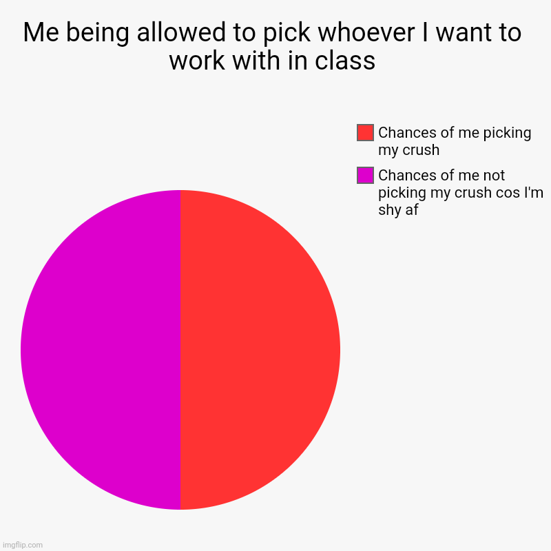 Me being allowed to pick whoever I want to work with in class | Chances of me not picking my crush cos I'm shy af, Chances of me picking my  | image tagged in charts,pie charts | made w/ Imgflip chart maker