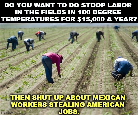"They don't want to work." Oh yeah? Take a good look. | DO YOU WANT TO DO STOOP LABOR 
IN THE FIELDS IN 100 DEGREE 
TEMPERATURES FOR $15,000 A YEAR? THEN SHUT UP ABOUT MEXICAN 
WORKERS STEALING AMERICAN 
JOBS. | image tagged in illegal immigration,farm,labor | made w/ Imgflip meme maker
