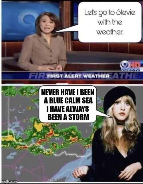 Stevie with the weather |  NEVER HAVE I BEEN 
A BLUE CALM SEA
I HAVE ALWAYS 
BEEN A STORM | image tagged in stevie nicks weather | made w/ Imgflip meme maker