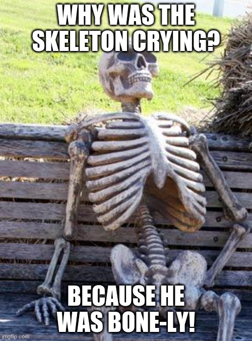 Waiting Skeleton |  WHY WAS THE SKELETON CRYING? BECAUSE HE WAS BONE-LY! | image tagged in memes,waiting skeleton | made w/ Imgflip meme maker