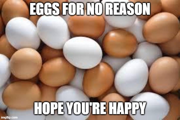 eggs for no reason | EGGS FOR NO REASON; HOPE YOU'RE HAPPY | image tagged in eggs | made w/ Imgflip meme maker