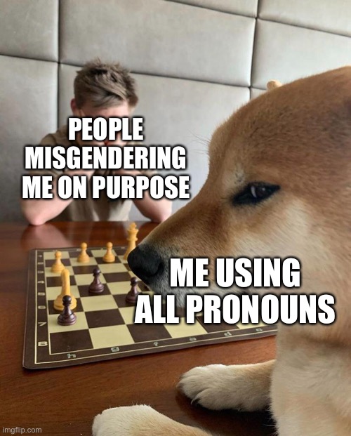 PEOPLE MISGENDERING ME ON PURPOSE; ME USING ALL PRONOUNS | made w/ Imgflip meme maker