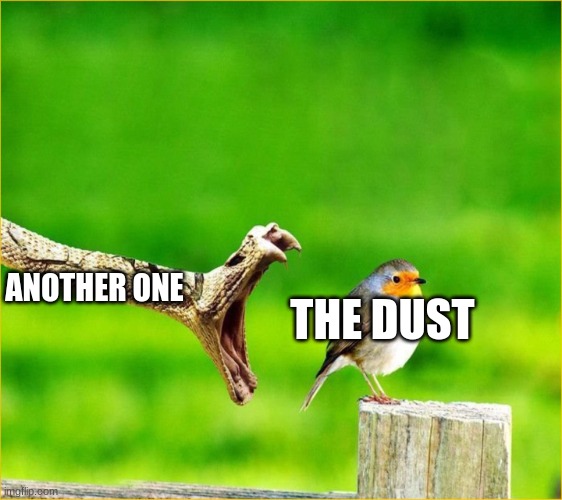 Snake Reality Bites | THE DUST; ANOTHER ONE | image tagged in snake reality bites | made w/ Imgflip meme maker