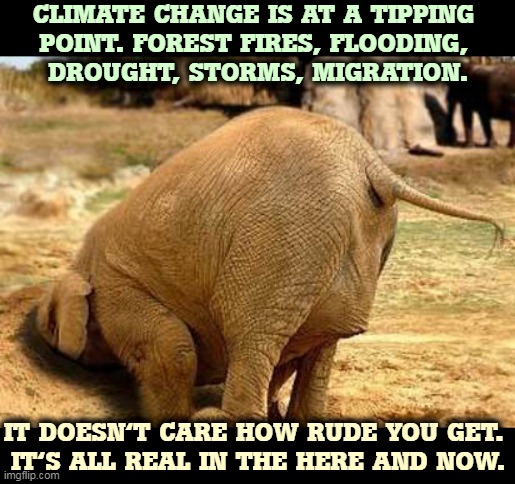 Never mind what Big Oil says, you can see it happening before your eyes. | CLIMATE CHANGE IS AT A TIPPING 
POINT. FOREST FIRES, FLOODING, 
DROUGHT, STORMS, MIGRATION. IT DOESN'T CARE HOW RUDE YOU GET. 
IT'S ALL REAL IN THE HERE AND NOW. | image tagged in elephant with head in the sand gop policy about everything,global warming,climate change,fire,flood,drought | made w/ Imgflip meme maker