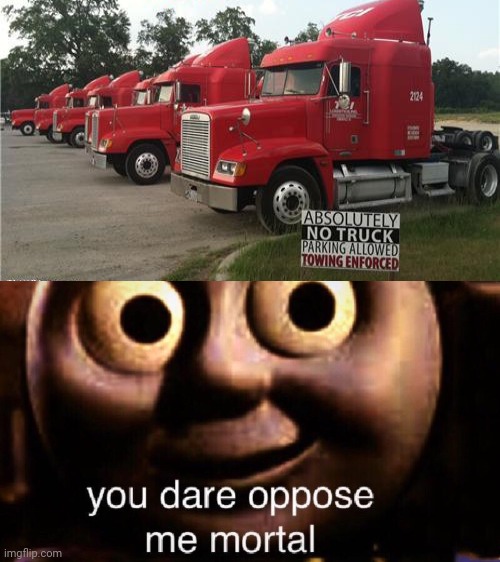 Trucks parking, rule breaking | image tagged in you dare oppose me mortal,you had one job,memes,trucks,truck,parking | made w/ Imgflip meme maker