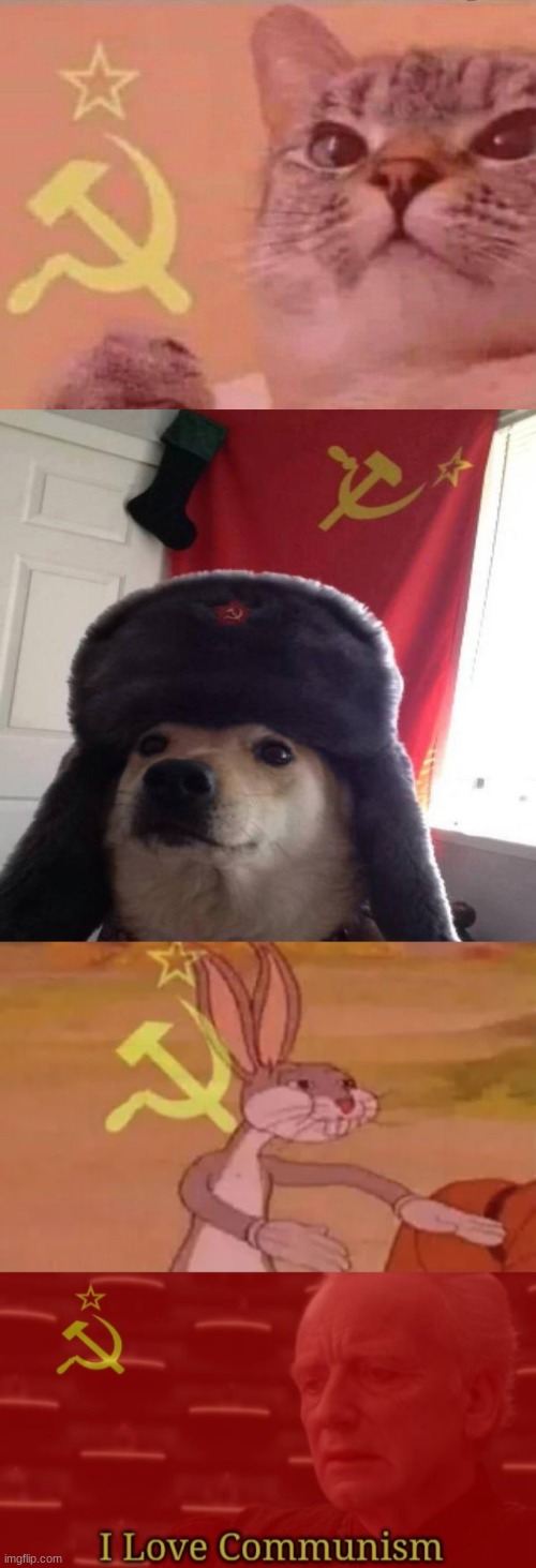 image tagged in communist cat,russian doge,bugs bunny communist,i love communism | made w/ Imgflip meme maker