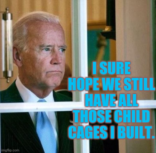 Who built the cages joe? | I SURE HOPE WE STILL HAVE ALL THOSE CHILD CAGES I BUILT. | image tagged in sad joe biden | made w/ Imgflip meme maker