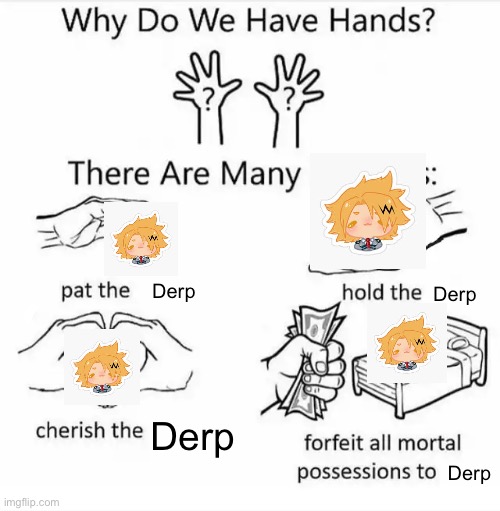 Derpy Denki! So cute!! | Derp; Derp; Derp; Derp | image tagged in why do we have hands all blank | made w/ Imgflip meme maker