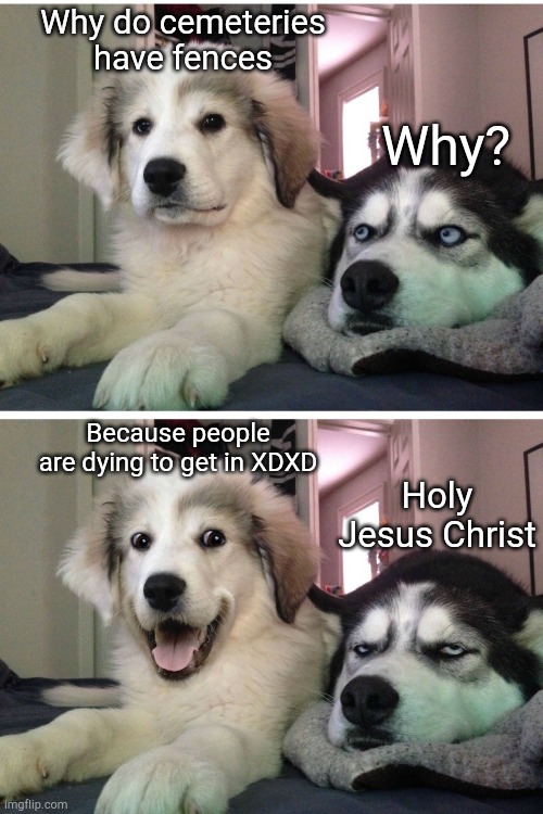 Dad Jokes :P |  Why do cemeteries have fences; Why? Because people are dying to get in XDXD; Holy Jesus Christ | image tagged in bad pun dogs | made w/ Imgflip meme maker