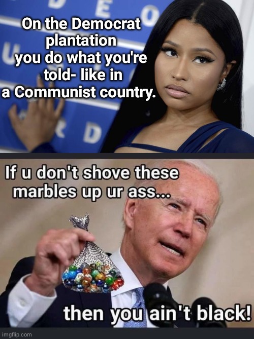 Nikki Democrat Plantation | On the Democrat plantation you do what you're  told- like in a Communist country. | image tagged in biden | made w/ Imgflip meme maker