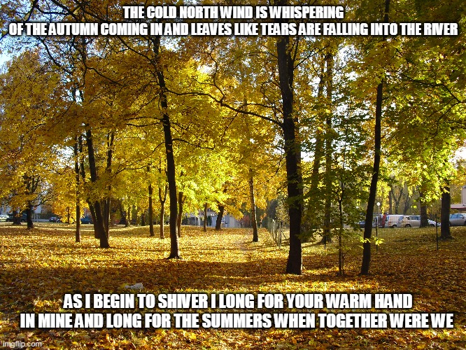 Change of Season |  THE COLD NORTH WIND IS WHISPERING OF THE AUTUMN COMING IN AND LEAVES LIKE TEARS ARE FALLING INTO THE RIVER; AS I BEGIN TO SHIVER I LONG FOR YOUR WARM HAND IN MINE AND LONG FOR THE SUMMERS WHEN TOGETHER WERE WE | image tagged in autumn,summer,autumn leaves | made w/ Imgflip meme maker