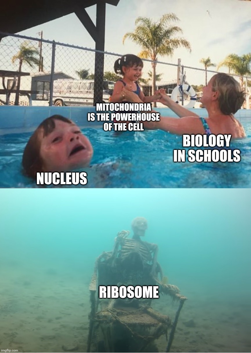 Biology lessons |  MITOCHONDRIA IS THE POWERHOUSE OF THE CELL; BIOLOGY IN SCHOOLS; NUCLEUS; RIBOSOME | image tagged in swimming pool kids | made w/ Imgflip meme maker