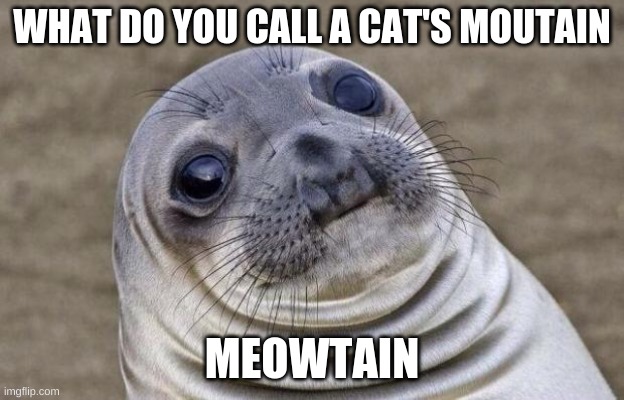 Awkward Moment Sealion Meme | WHAT DO YOU CALL A CAT'S MOUTAIN; MEOWTAIN | image tagged in memes,awkward moment sealion | made w/ Imgflip meme maker