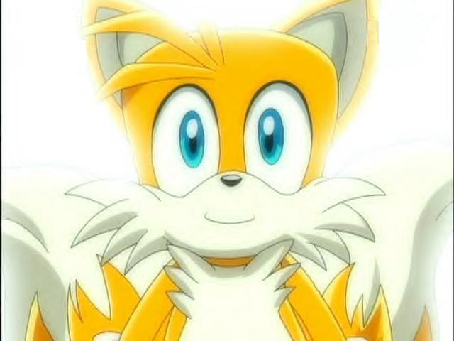 High Quality tails Blank Meme Template