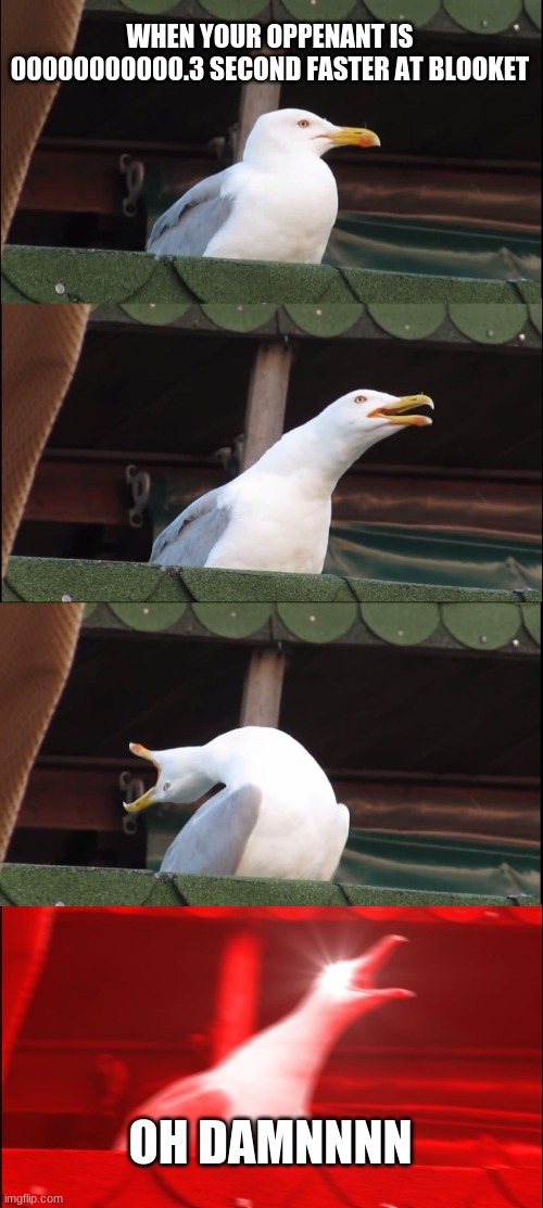 Inhaling Seagull Meme | WHEN YOUR OPPENANT IS 00000000000.3 SECOND FASTER AT BLOOKET; OH DAMNNNN | image tagged in memes,inhaling seagull | made w/ Imgflip meme maker