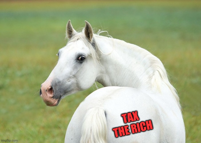 Tax the rich |  TAX THE RICH | image tagged in aoc,horse | made w/ Imgflip meme maker