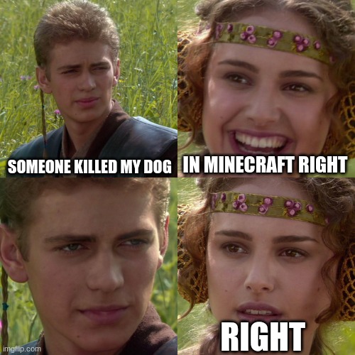 Anakin Padme 4 Panel | SOMEONE KILLED MY DOG; IN MINECRAFT RIGHT; RIGHT | image tagged in anakin padme 4 panel | made w/ Imgflip meme maker