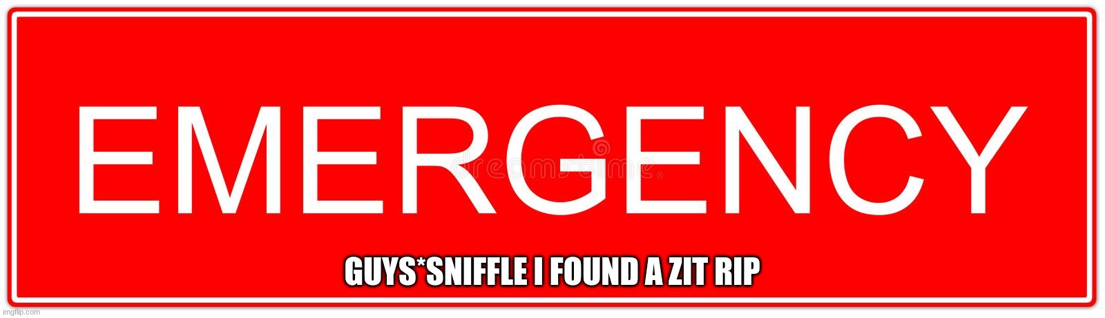 GUYS*SNIFFLE I FOUND A ZIT RIP | made w/ Imgflip meme maker