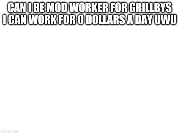 im the first member here (i think) :D | CAN I BE MOD WORKER FOR GRILLBYS I CAN WORK FOR 0 DOLLARS A DAY UWU | image tagged in blank white template | made w/ Imgflip meme maker