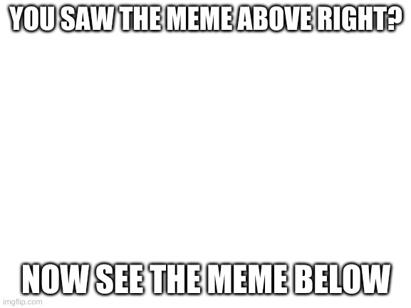 yes | YOU SAW THE MEME ABOVE RIGHT? NOW SEE THE MEME BELOW | image tagged in blank white template,below | made w/ Imgflip meme maker