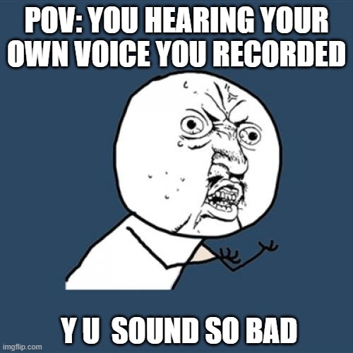 Y U No Meme | POV: YOU HEARING YOUR OWN VOICE YOU RECORDED; Y U  SOUND SO BAD | image tagged in memes,y u no | made w/ Imgflip meme maker