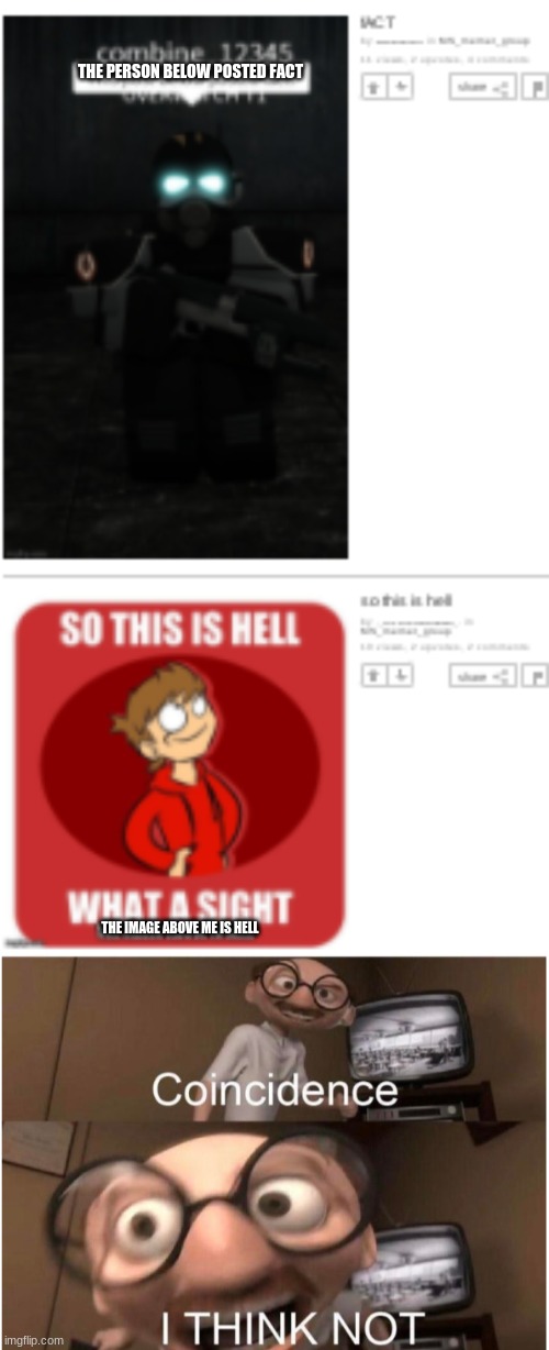 I had to add what they were saying because it was too blurry | THE PERSON BELOW POSTED FACT; THE IMAGE ABOVE ME IS HELL | image tagged in coincidence i think not | made w/ Imgflip meme maker