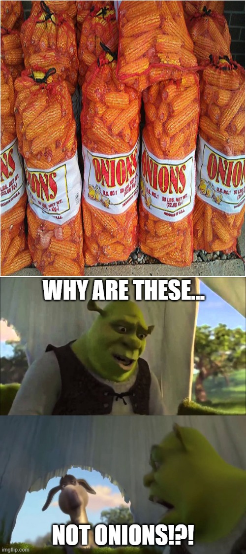 c o r n |  WHY ARE THESE... NOT ONIONS!?! | image tagged in shrek five minutes | made w/ Imgflip meme maker