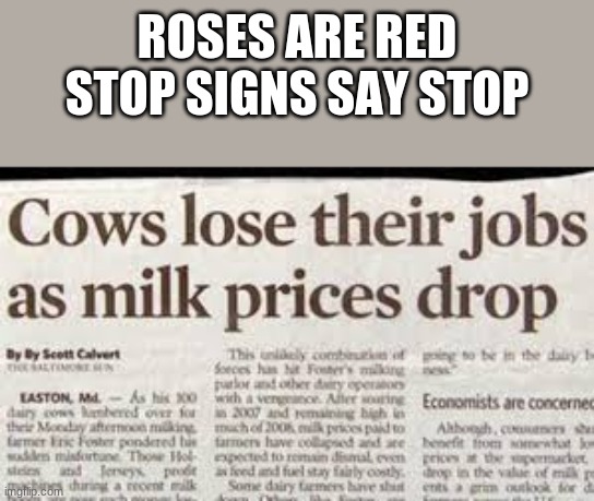 lol | ROSES ARE RED
STOP SIGNS SAY STOP | image tagged in cows,roses are red | made w/ Imgflip meme maker