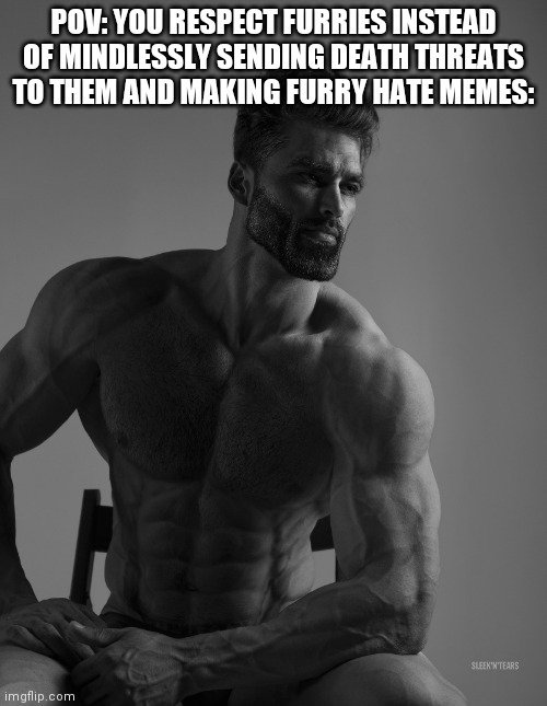 The hate needs to end | POV: YOU RESPECT FURRIES INSTEAD OF MINDLESSLY SENDING DEATH THREATS TO THEM AND MAKING FURRY HATE MEMES: | image tagged in giga chad | made w/ Imgflip meme maker