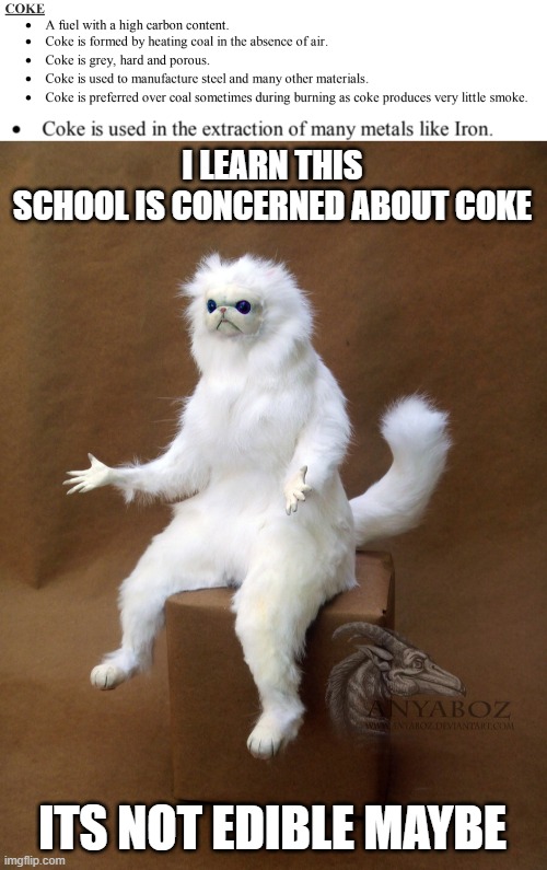 NA DRIKABLE | I LEARN THIS
SCHOOL IS CONCERNED ABOUT COKE; ITS NOT EDIBLE MAYBE | image tagged in memes,funny,coke | made w/ Imgflip meme maker