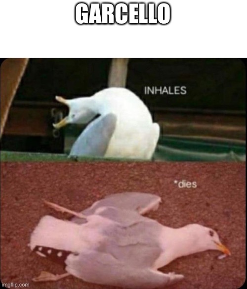 Garcello | GARCELLO | image tagged in inhales dies bird | made w/ Imgflip meme maker