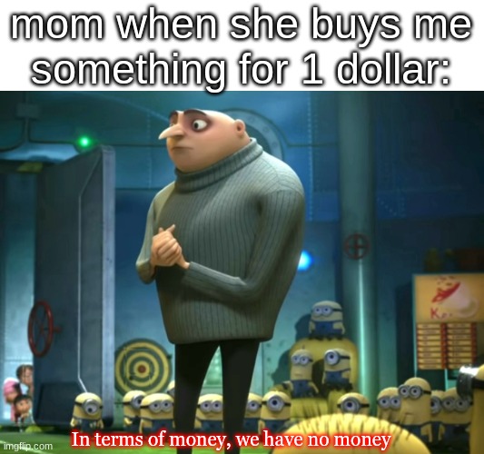bru | mom when she buys me something for 1 dollar:; In terms of money, we have no money | image tagged in in terms of money we have no money,money,mom,relatable | made w/ Imgflip meme maker