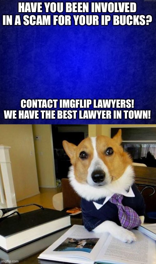 Lardar will help you get the compensation you need for the scam. | HAVE YOU BEEN INVOLVED IN A SCAM FOR YOUR IP BUCKS? CONTACT IMGFLIP LAWYERS! WE HAVE THE BEST LAWYER IN TOWN! | image tagged in blue background,lawyer corgi dog | made w/ Imgflip meme maker